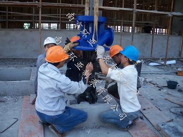 泵座.jpg 南京龍?zhí)端畯S用 300RJC185-12*4長軸深井泵指導(dǎo)安裝完畢(圖2)