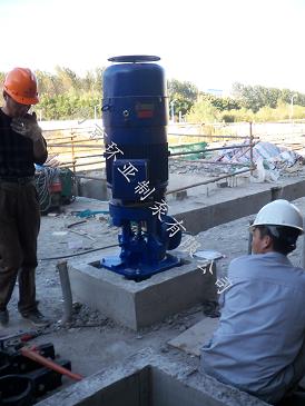 安裝后.jpg 南京龍?zhí)端畯S用 300RJC185-12*4長軸深井泵指導(dǎo)安裝完畢(圖3)