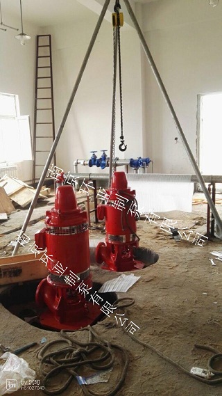 河北“安國(guó)數(shù)字中藥都項(xiàng)目”用軸流深井消防泵安裝調(diào)試完畢(圖2)
