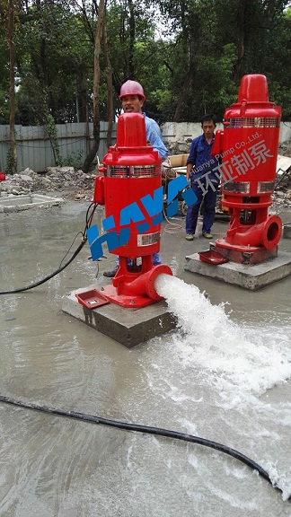 QQ圖片20160806103516.jpg 浙江“大鵬藥業(yè)項(xiàng)目”用軸流深井消防泵安裝調(diào)試完畢(圖3)