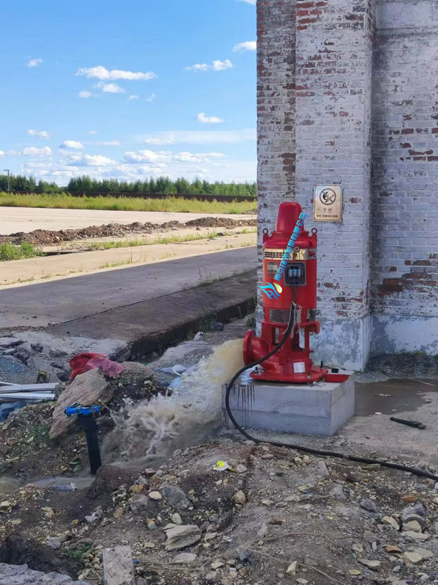 黑龍江省某糧庫(kù)長(zhǎng)軸深井消防泵項(xiàng)目(圖2) 8f6521607698aa2fd2b08ca60d6198b.jpg